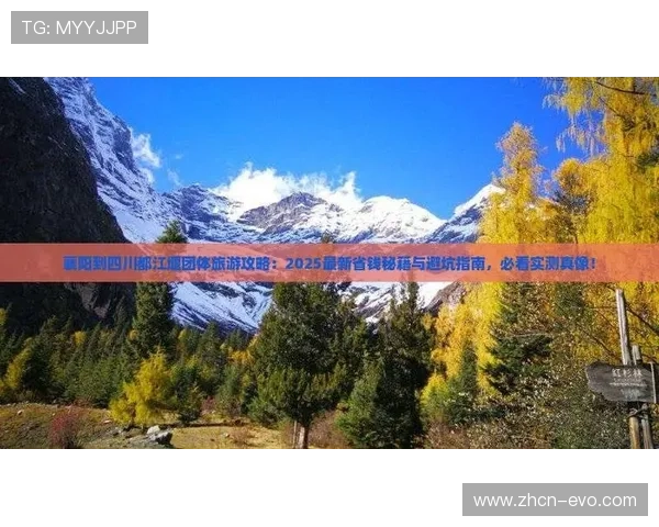 五大联赛避坑指南：从数据分析到全流程解析的风险规避策略