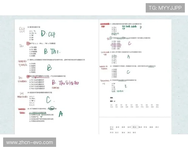 大型博彩平台游戏公平性全流程深度解读与机制剖析技术监管透明化实践
